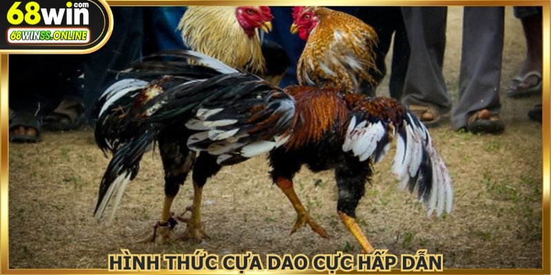 Hình thức đá gà 68WIN được đánh giá cao
